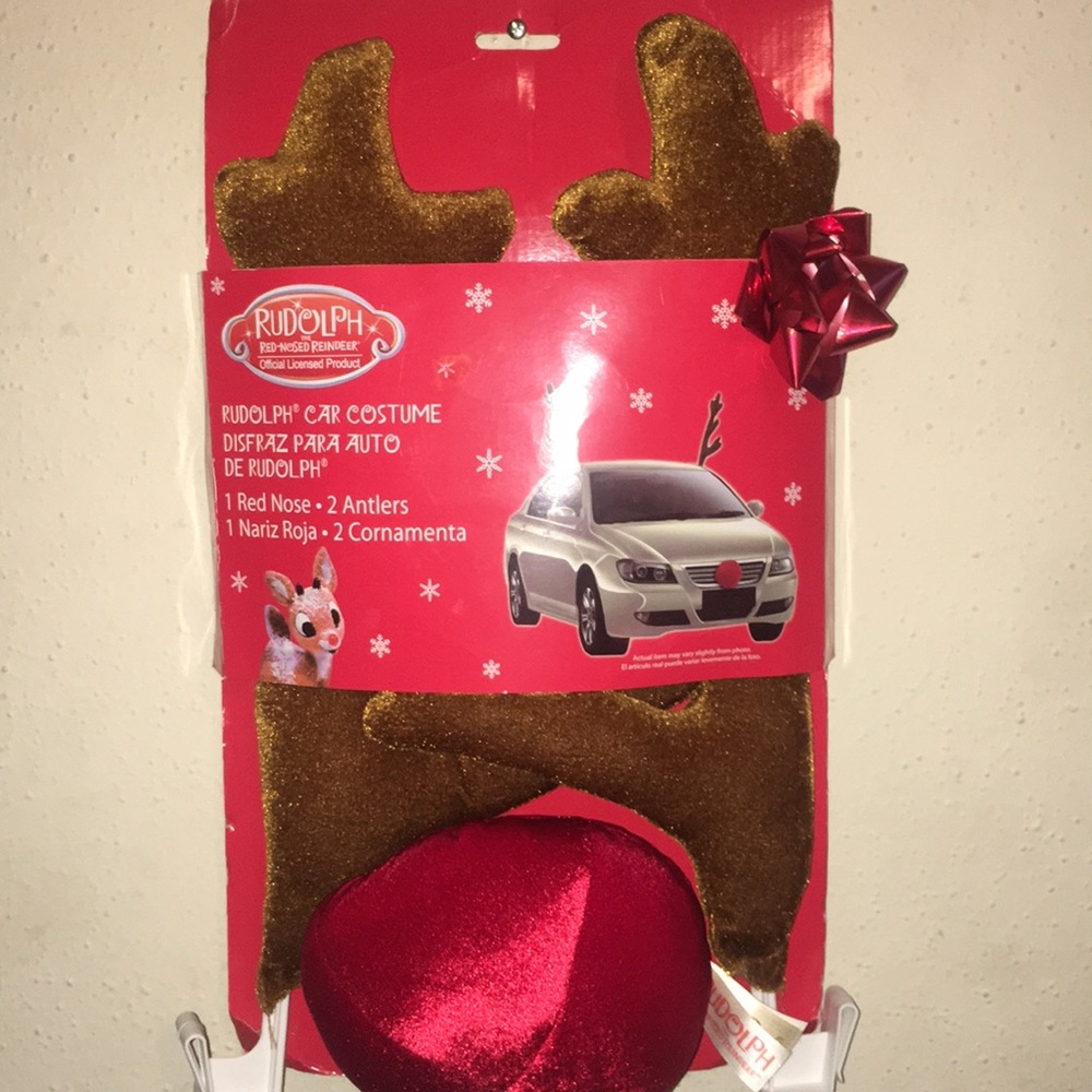 Rudolf Car Costume